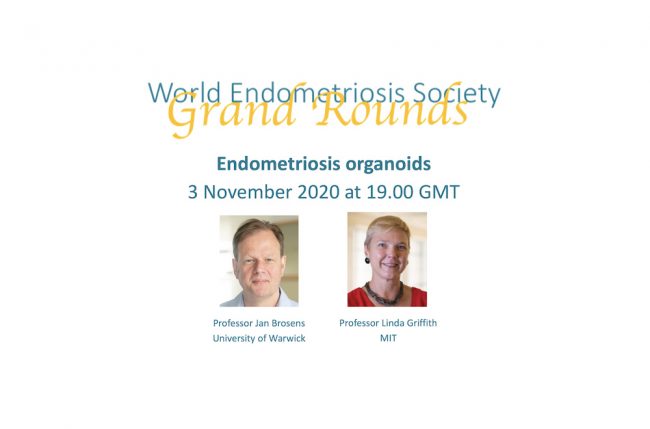 World-Endometriosis-Society
