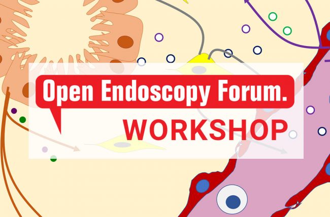 oef-workshop Announcing OEF Gynecology Science and Technology Workshop