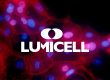 Startup gives surgeons a real-time view of breast cancer during surgery